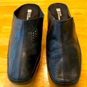 White Mountain Black Wedge